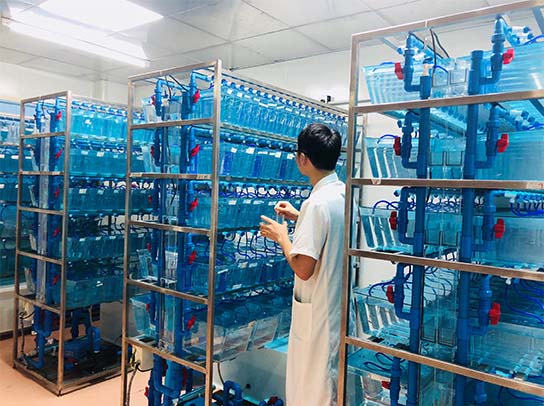 中国·365电子游戏(股份)有限公司-官方网站